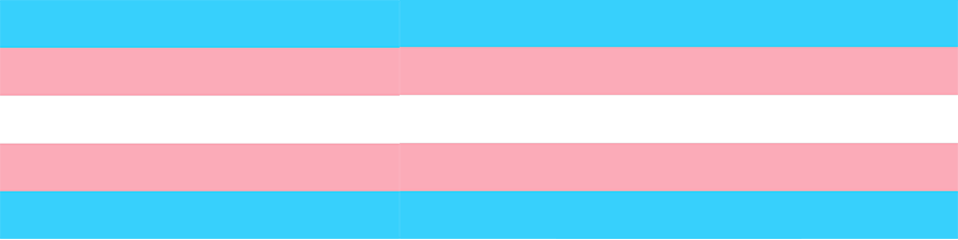 trans flag banner